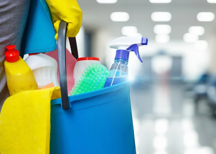 66d1b237781950cd5d89fc34 history of housecleaning and maid services